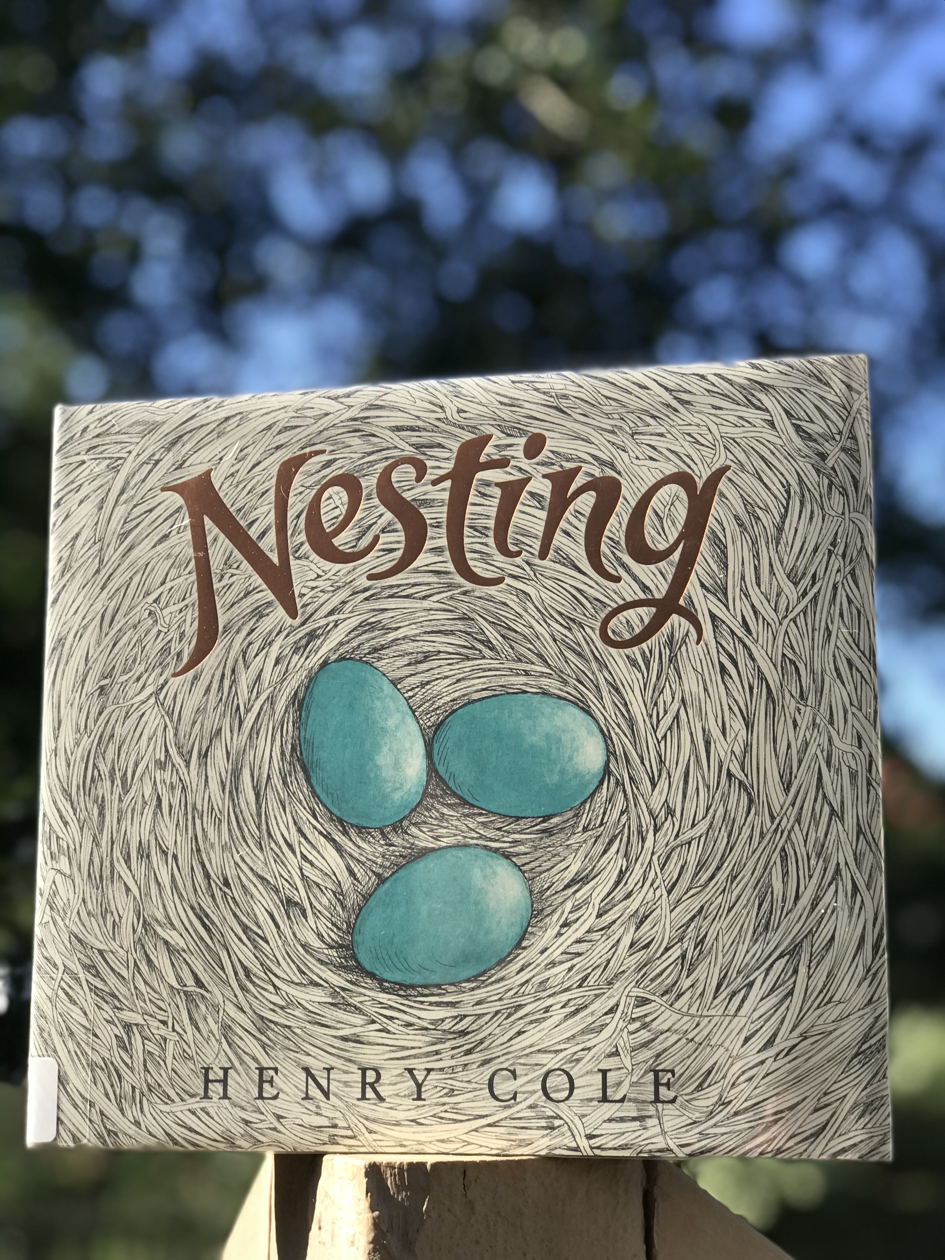 nonfiction picture book - Nesting